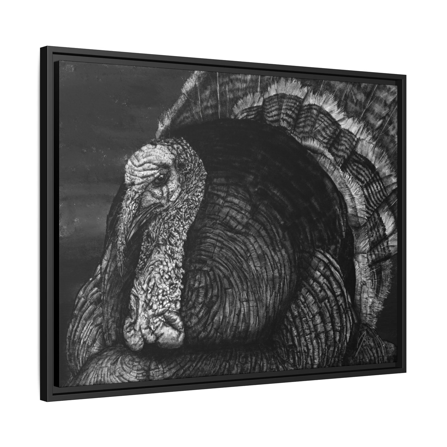 "Eye Contact" | Wild Turkey Framed Canvas Print