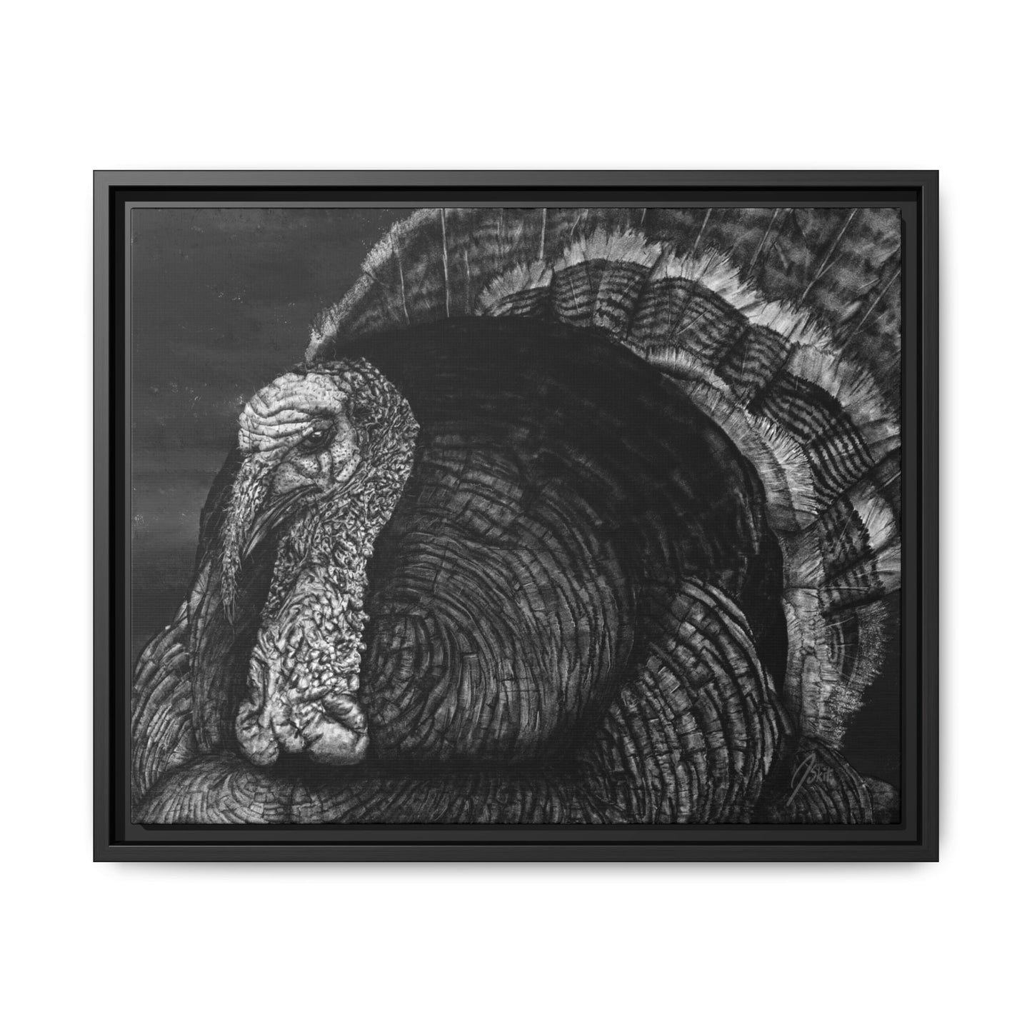 "Eye Contact" | Wild Turkey Framed Canvas Print